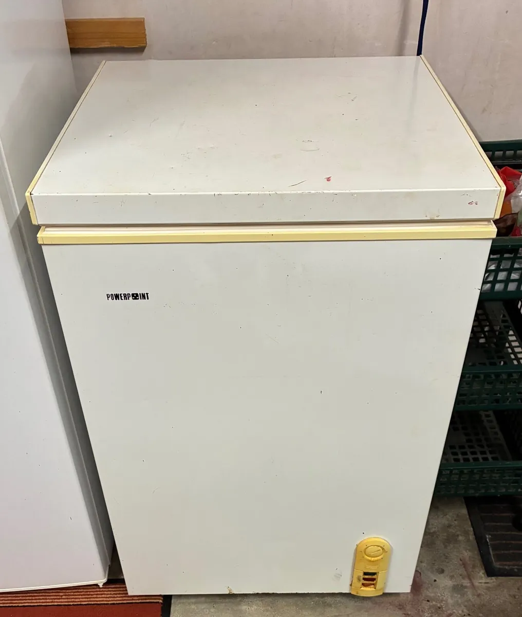 Fridge freezer & Chest Freezer - Image 2