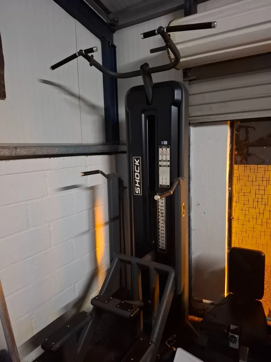 Assisted Pull Up & Dip Machine