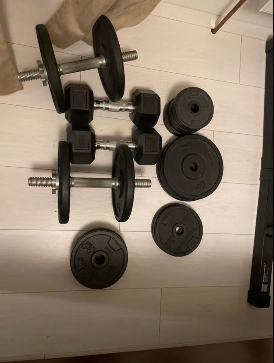 Bench, Dip Bar, Weights, Rings, SlantBoard, Gloves - Image 4