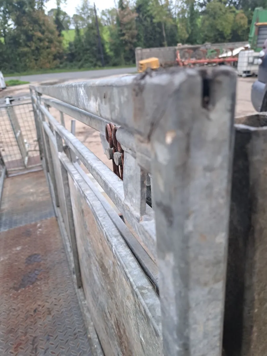 Sheep equipment. Race scales gates. - Image 2
