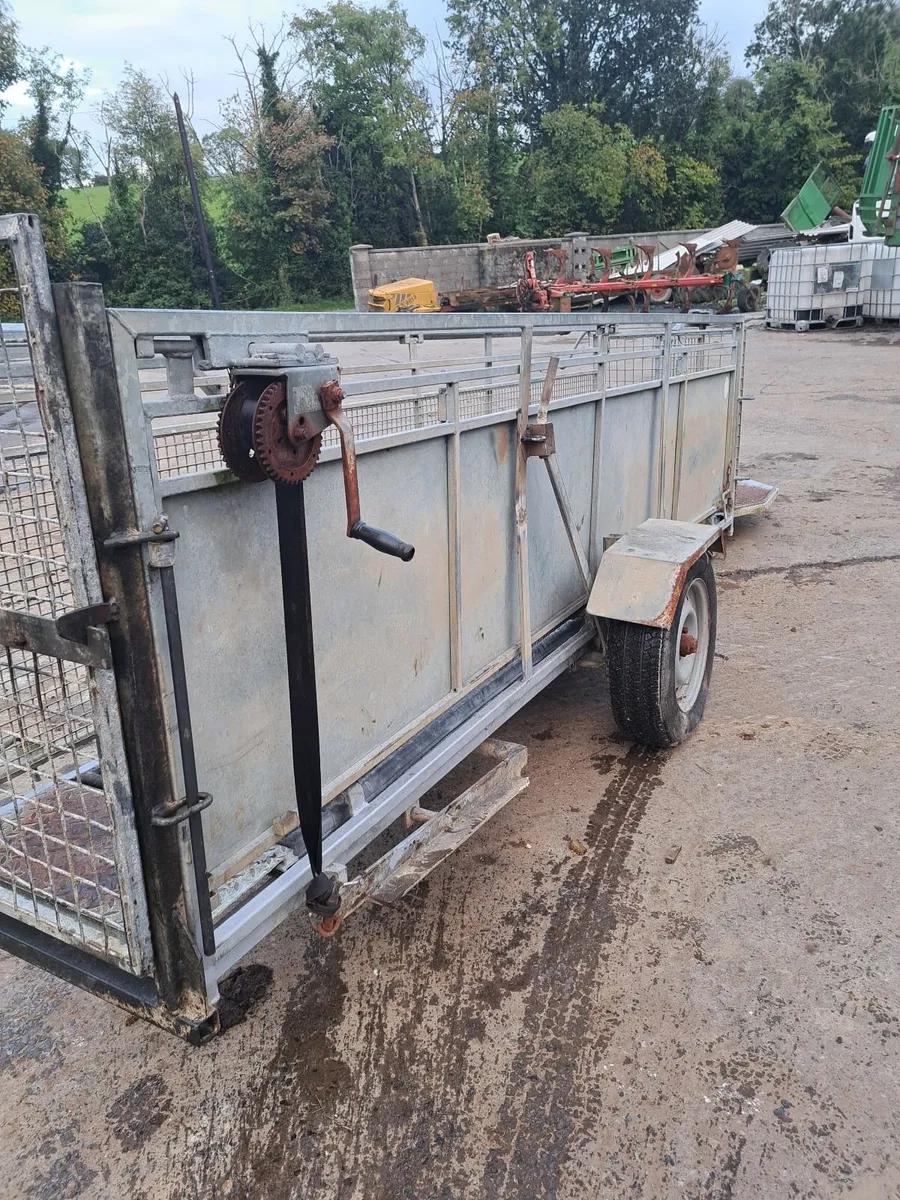Sheep equipment. Race scales gates. - Image 3