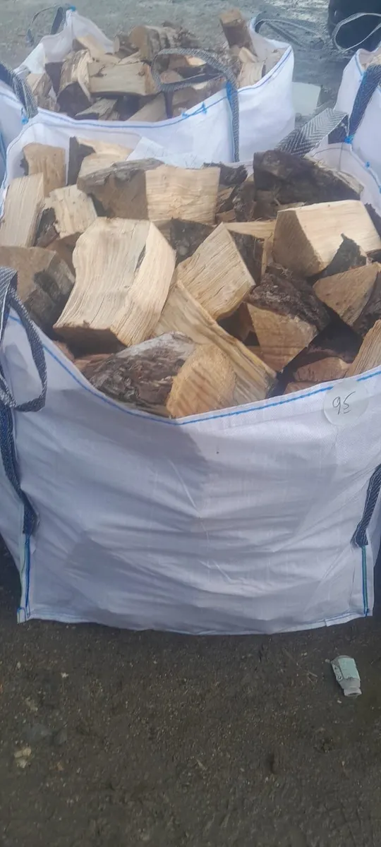 Firewood - Image 4