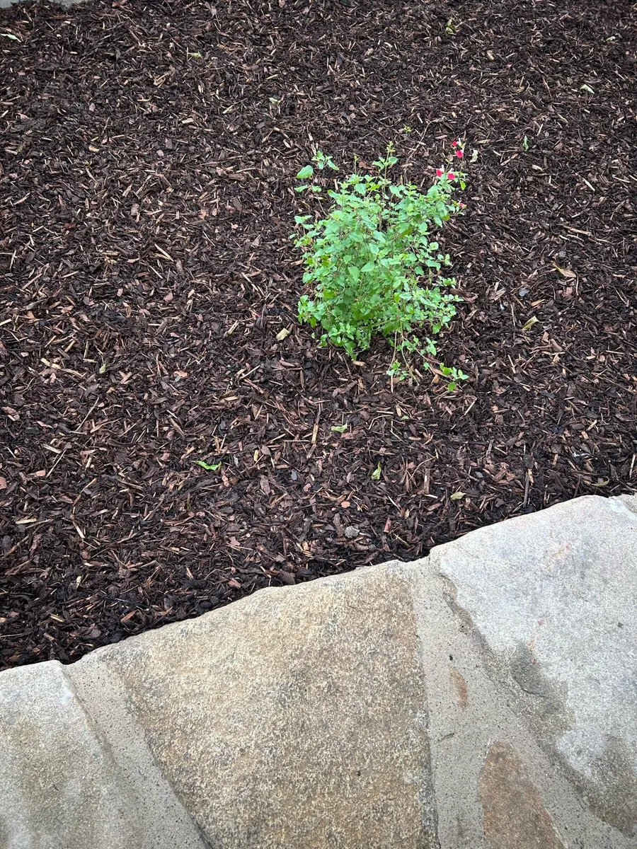 Bark mulch - Image 1