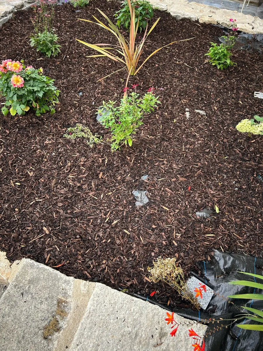Bark mulch - Image 2