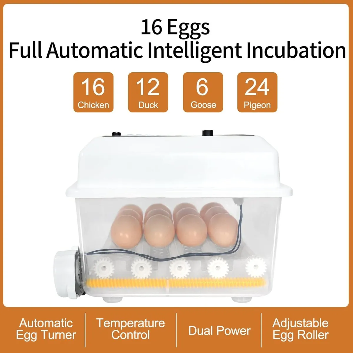 Automatic 16 Egg Incubator Temperature Control - Image 2