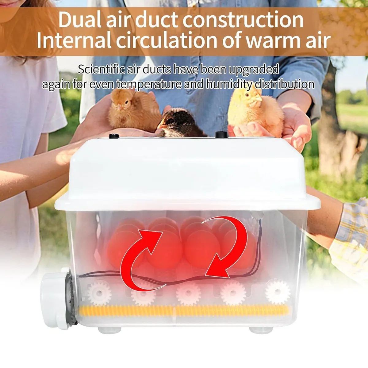 Automatic Egg Incubator 16 Egg Hatching Machine - Image 3