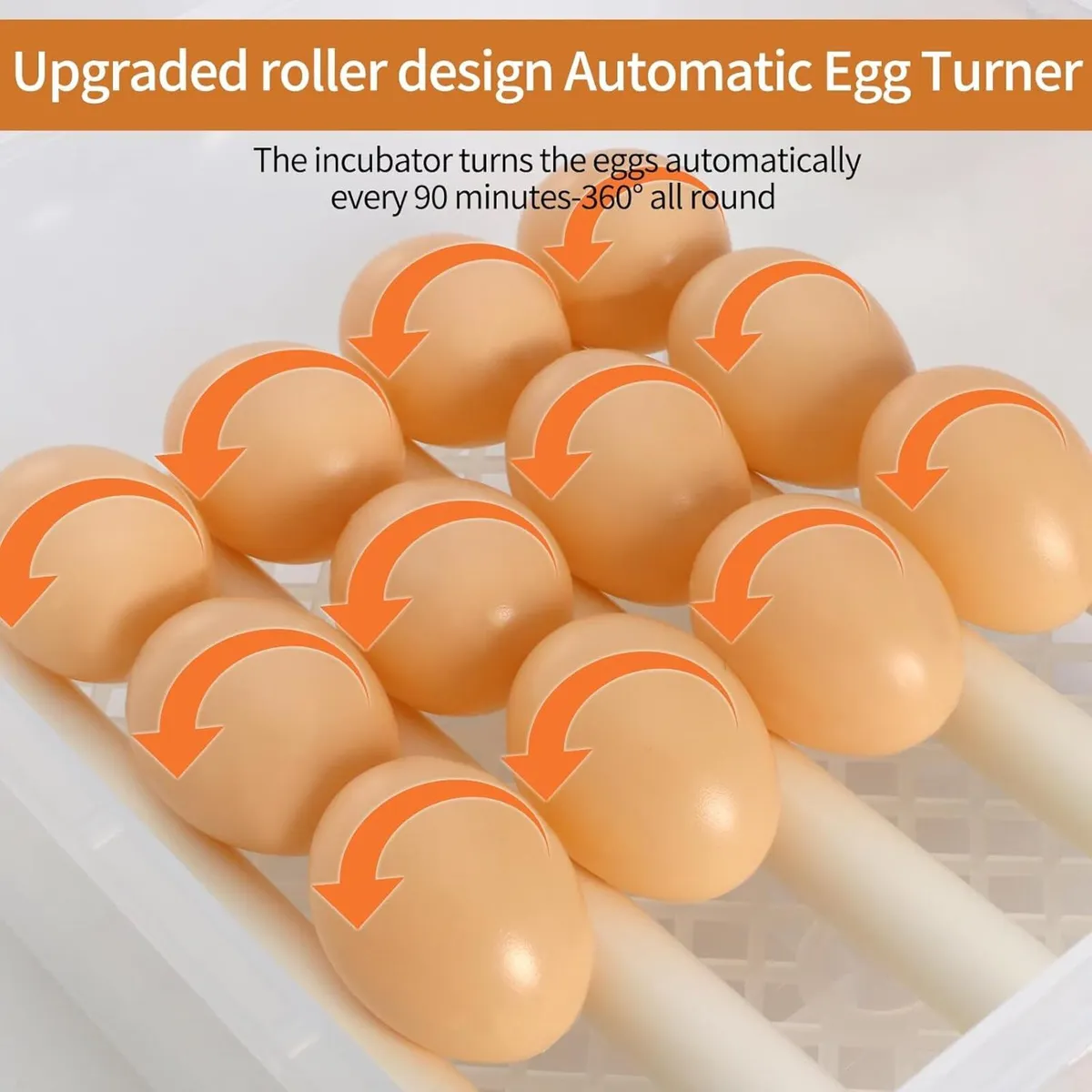 Automatic Egg Incubator 16 Egg Hatching Machine - Image 4