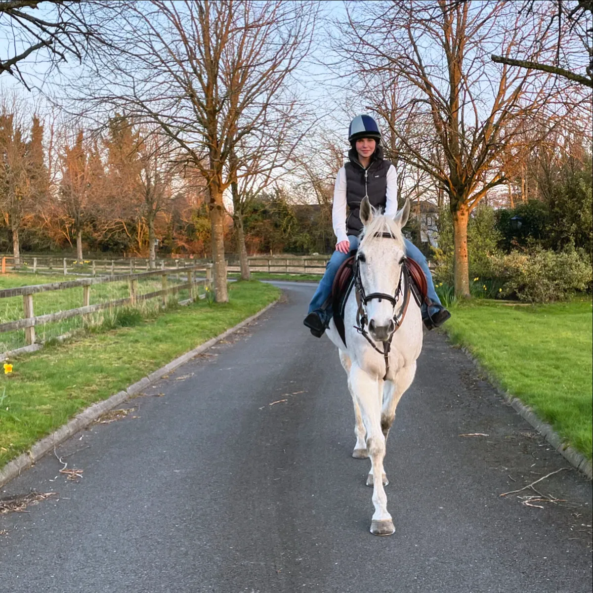 Tb mare for lease - Image 1