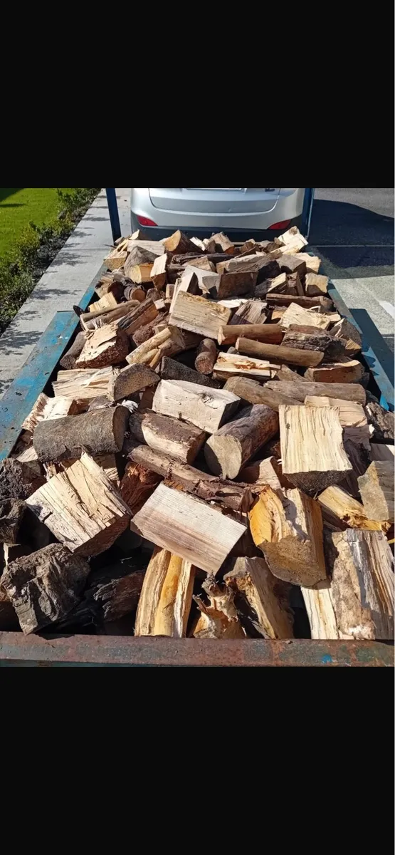 Firewood - Image 3