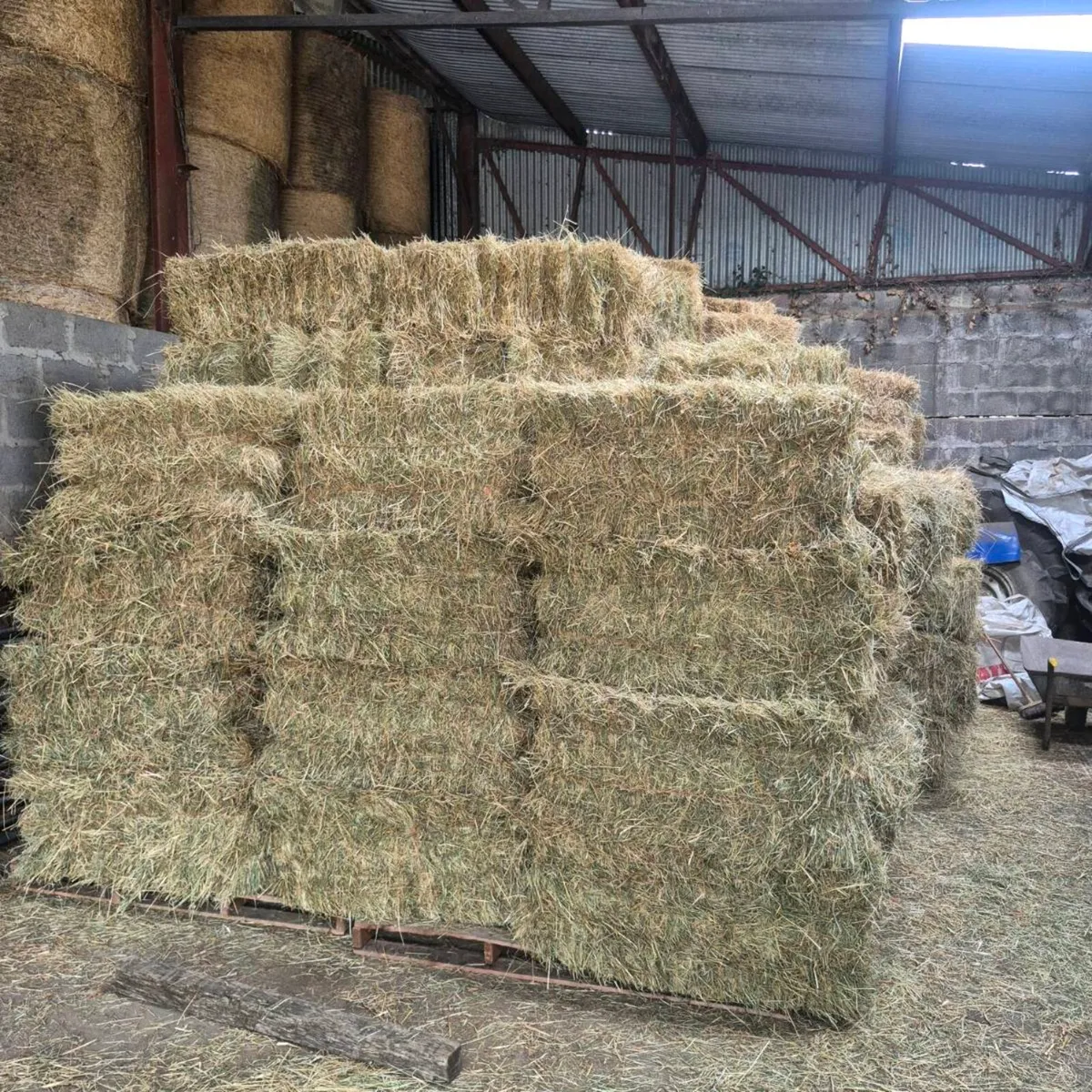 Small square bales of hay and straw - Image 1