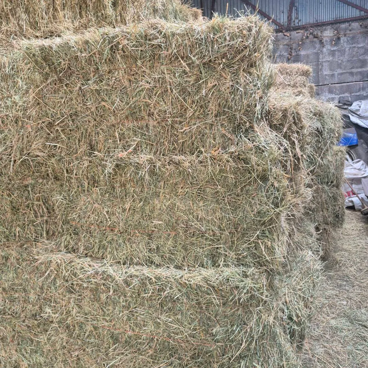 Small square bales of hay and straw - Image 3