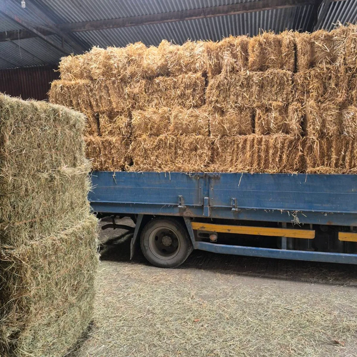 Small square bales of hay and straw - Image 4