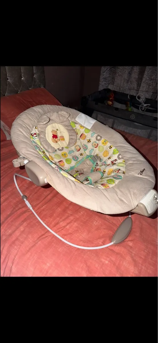 Winnie The Pooh Bouncer