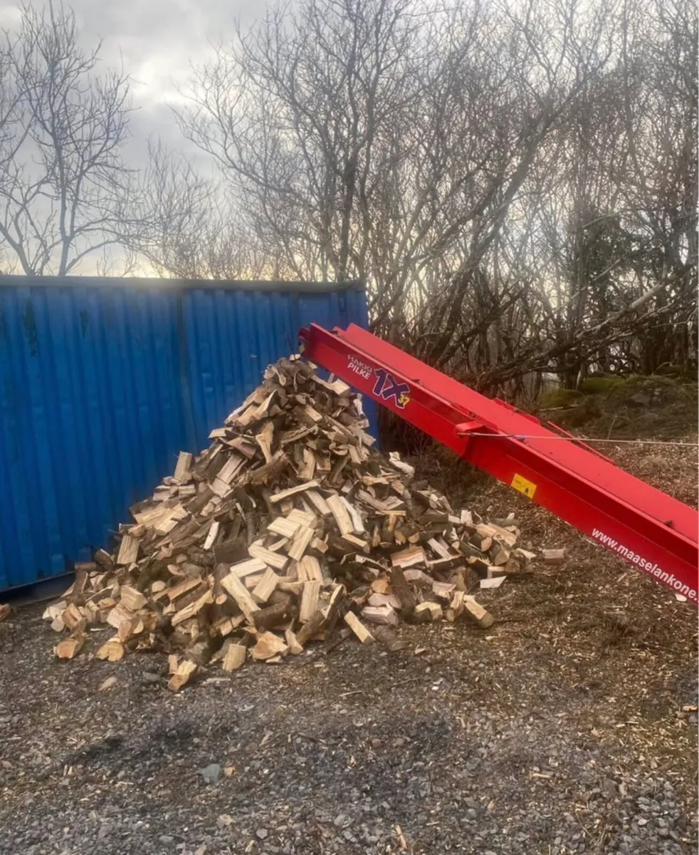 Firewood Processor(Hakki Palkie 37) - Image 3