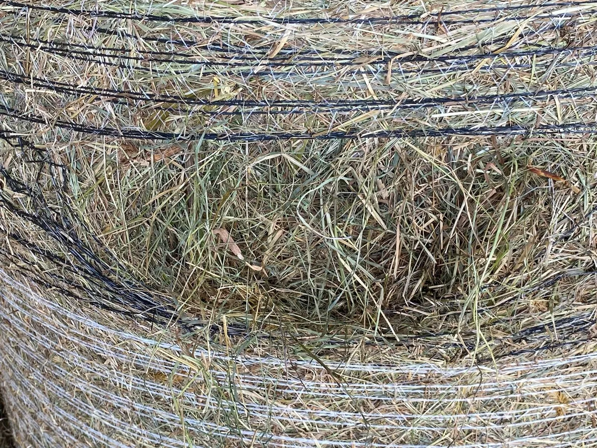 ** HAY ** - Image 2