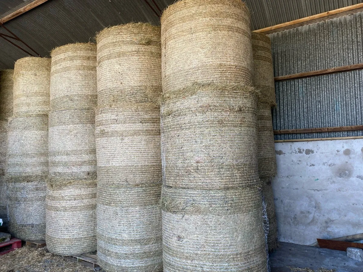 ** HAY ** - Image 1