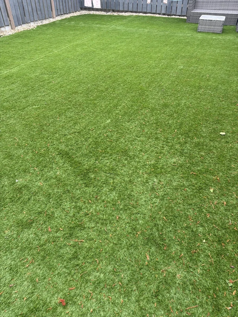 Artificial Grass - Image 2