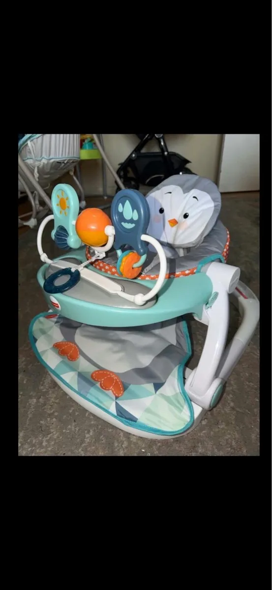 Fisherprice Seat