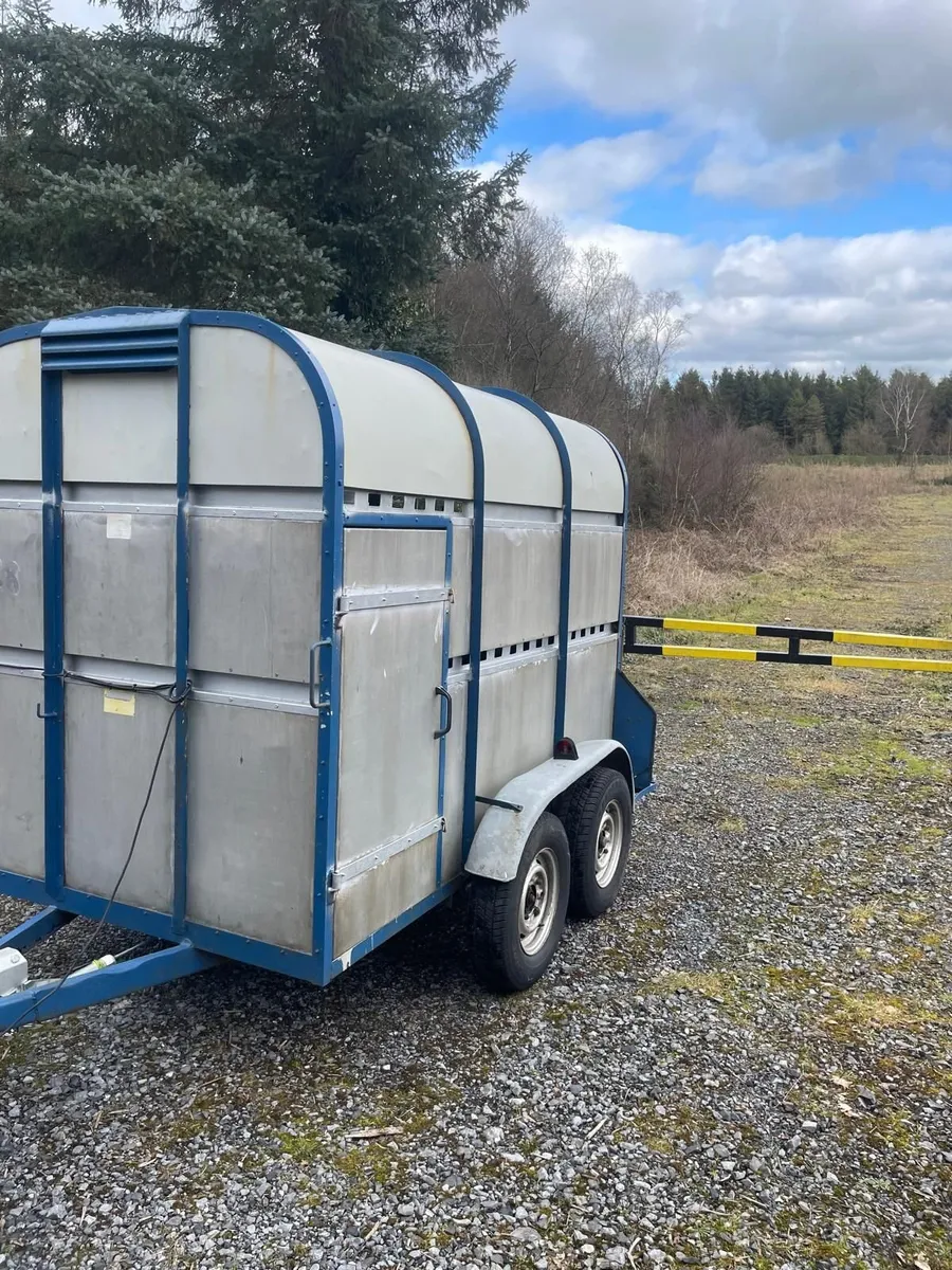 8 x 5 Bateson Livestock / Sheep Trailer - Image 2