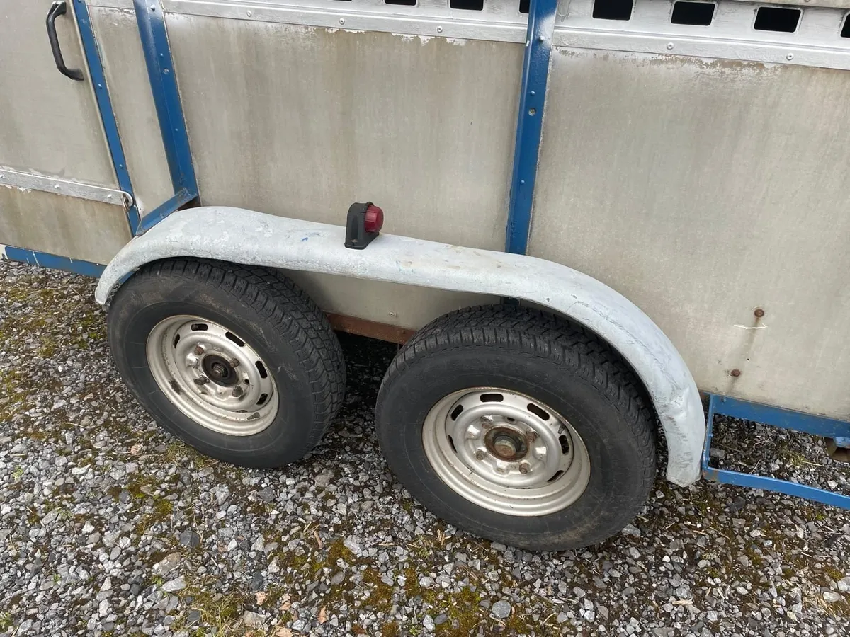 8 x 5 Bateson Livestock / Sheep Trailer - Image 4