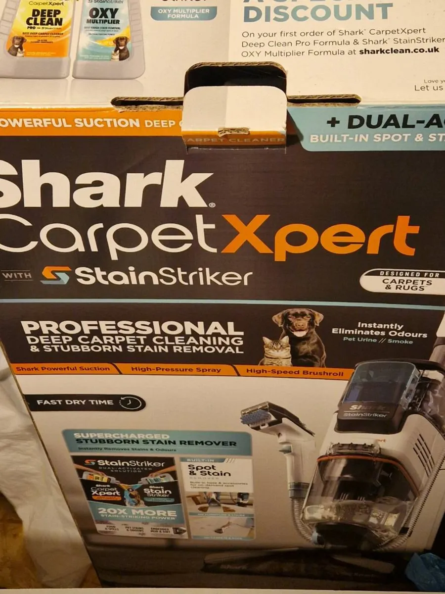Shark expert - Image 1