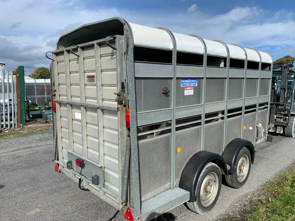 Ifor Williams TA5-12 (12x5) Trailer - Serviced - Image 3