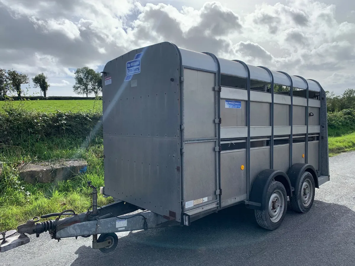 Ifor Williams TA5-12 (12x5) Trailer - Serviced - Image 1