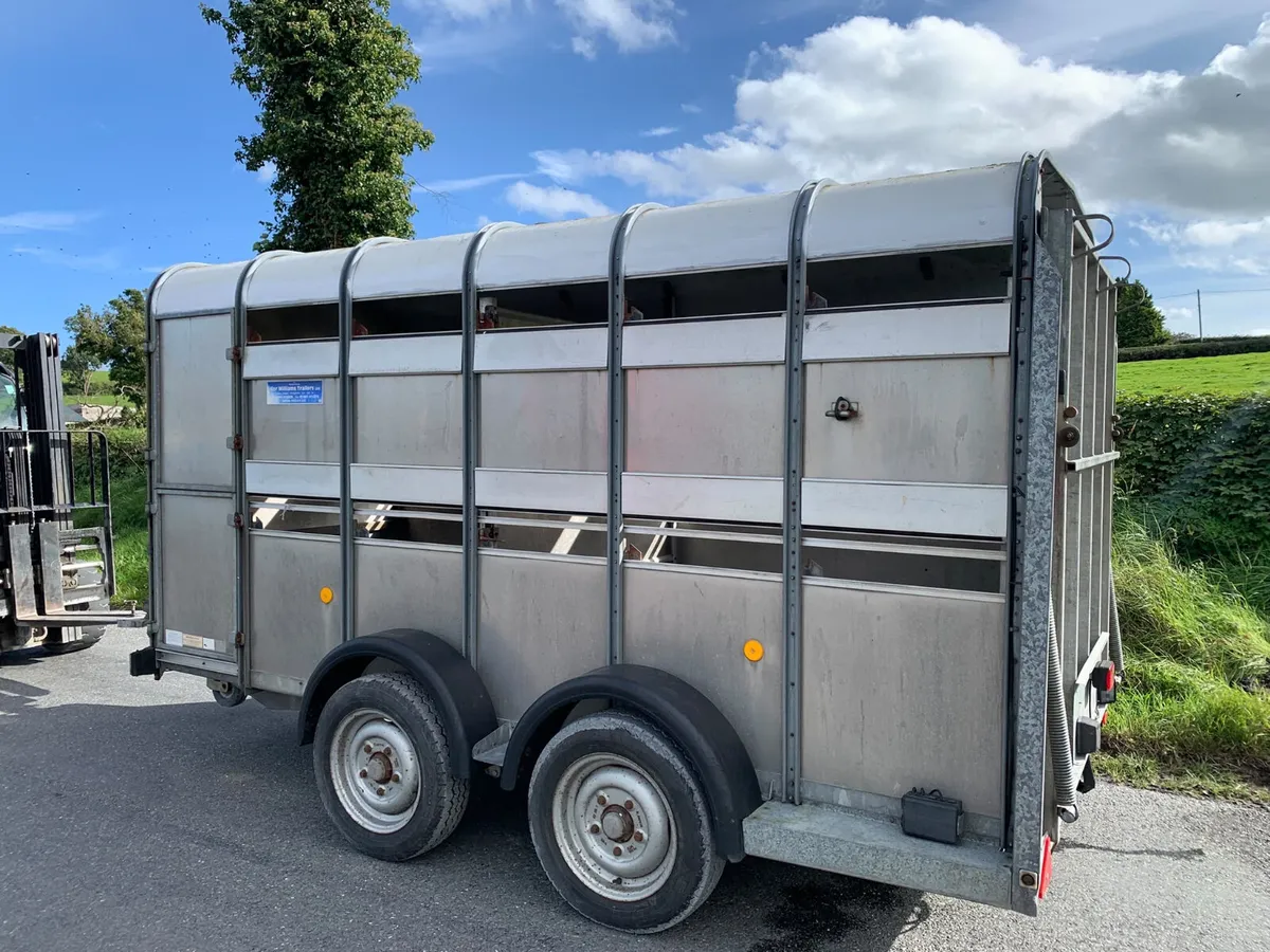 Ifor Williams TA5-12 (12x5) Trailer - Serviced - Image 2