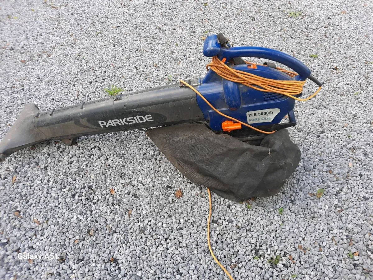 Leaf blower and collection - Image 1