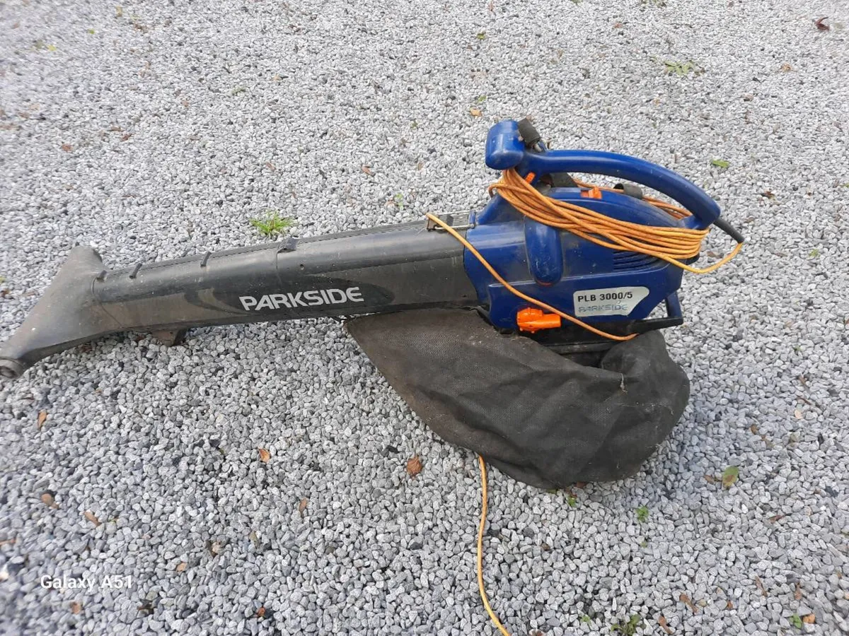 Leaf blower and collection - Image 2