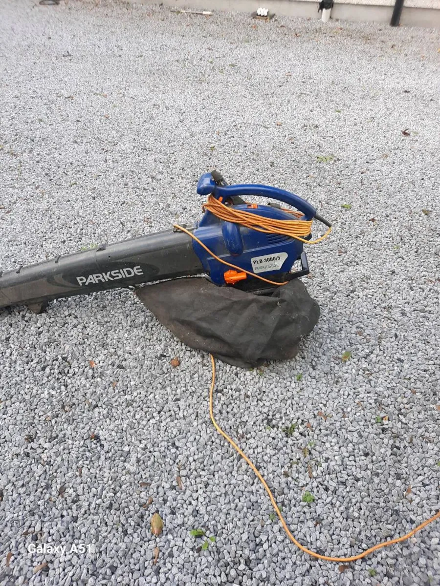 Leaf blower and collection - Image 3