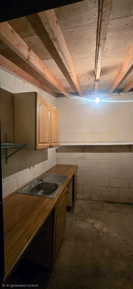 Kitchen cabinets, counter and sink