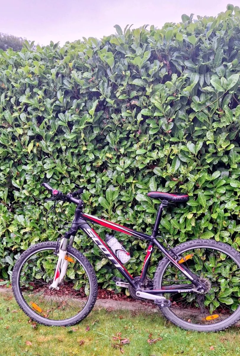 Scott Aspect mountain bike - Image 4