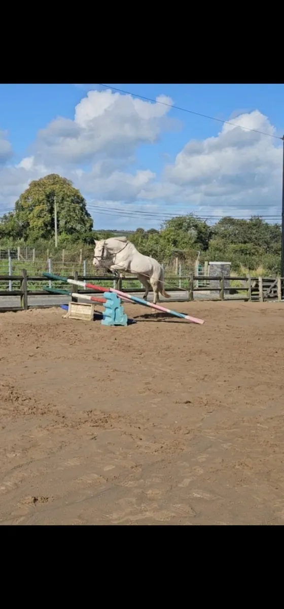 Future top track pony