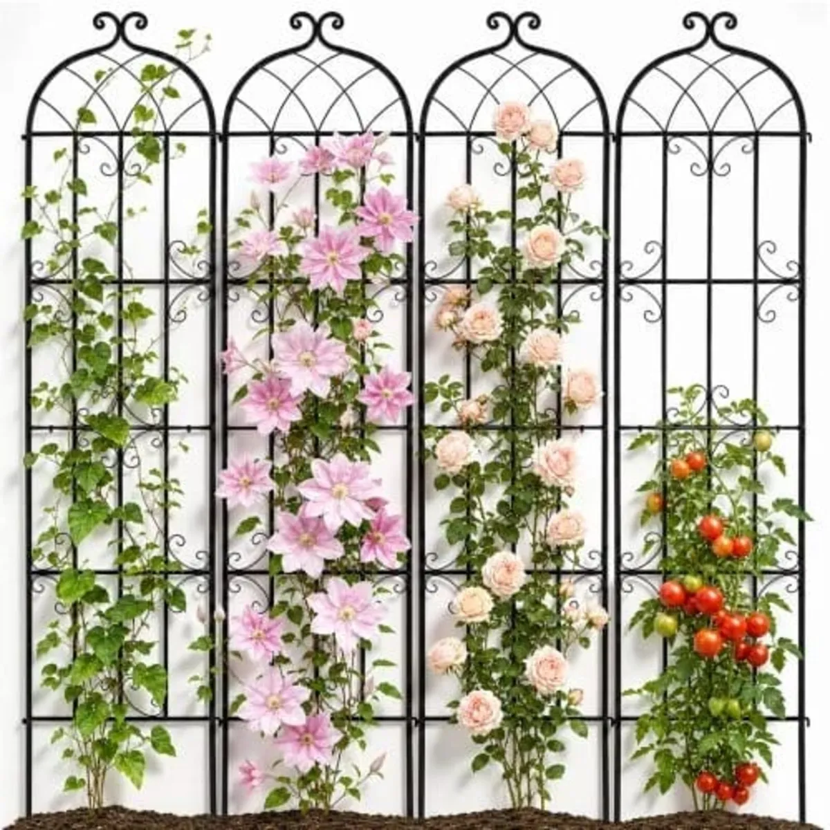 Garden Trellis for Climbing Plants, 87 x 20 in, 4 - Image 1