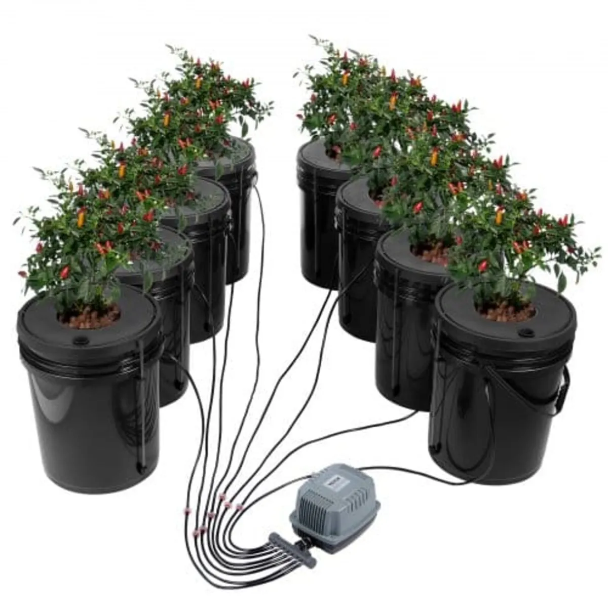 DWC Hydroponics Grow System, Hydroponic Growing Sy - Image 1