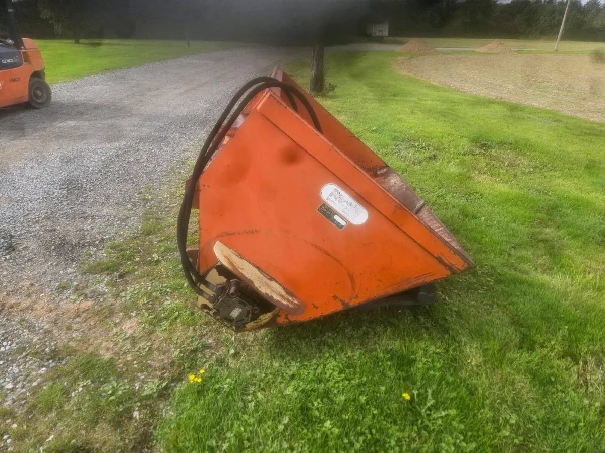 Yard clearance - Image 1
