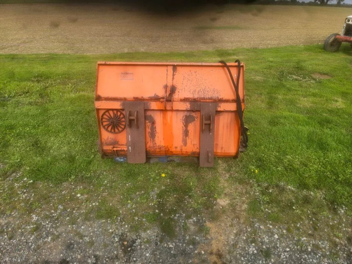 Yard clearance - Image 2