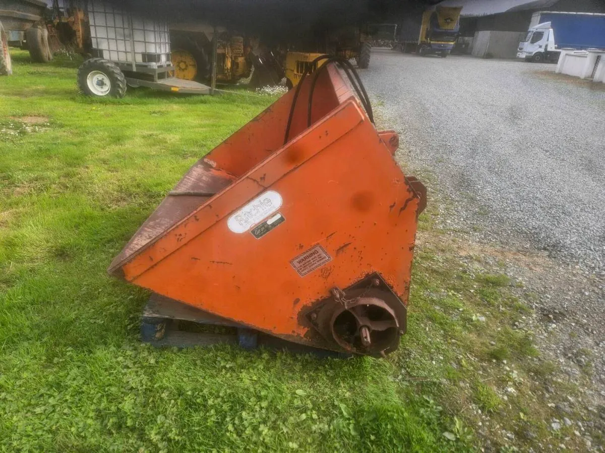 Yard clearance - Image 4