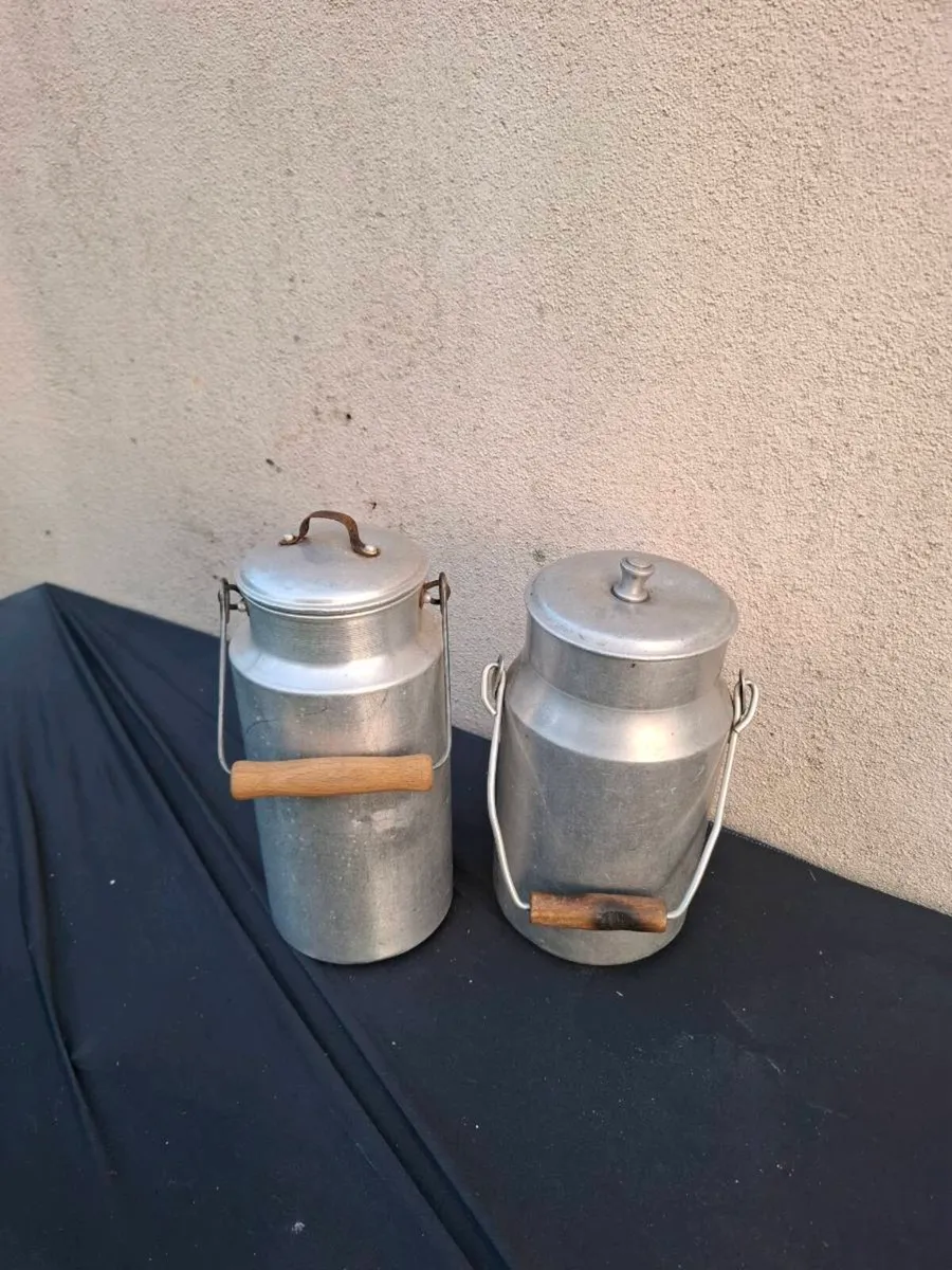 Duo 2 vintage fridge size milk churn - Image 1
