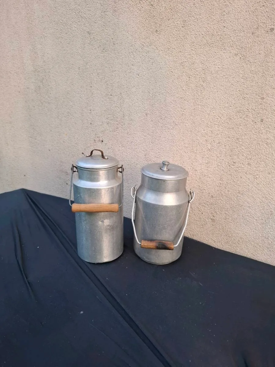 Duo 2 vintage fridge size milk churn - Image 2