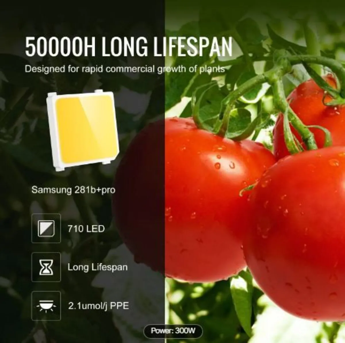 LED Grow Light, 300W Full Spectrum - Image 3