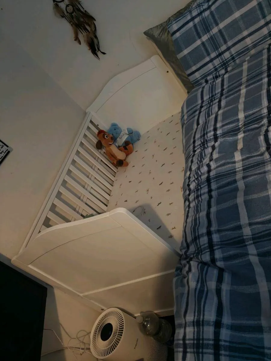 Cot - Image 4