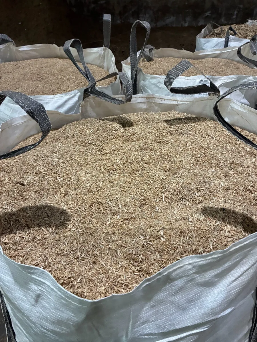 Dust free wood chip bedding. - Image 1