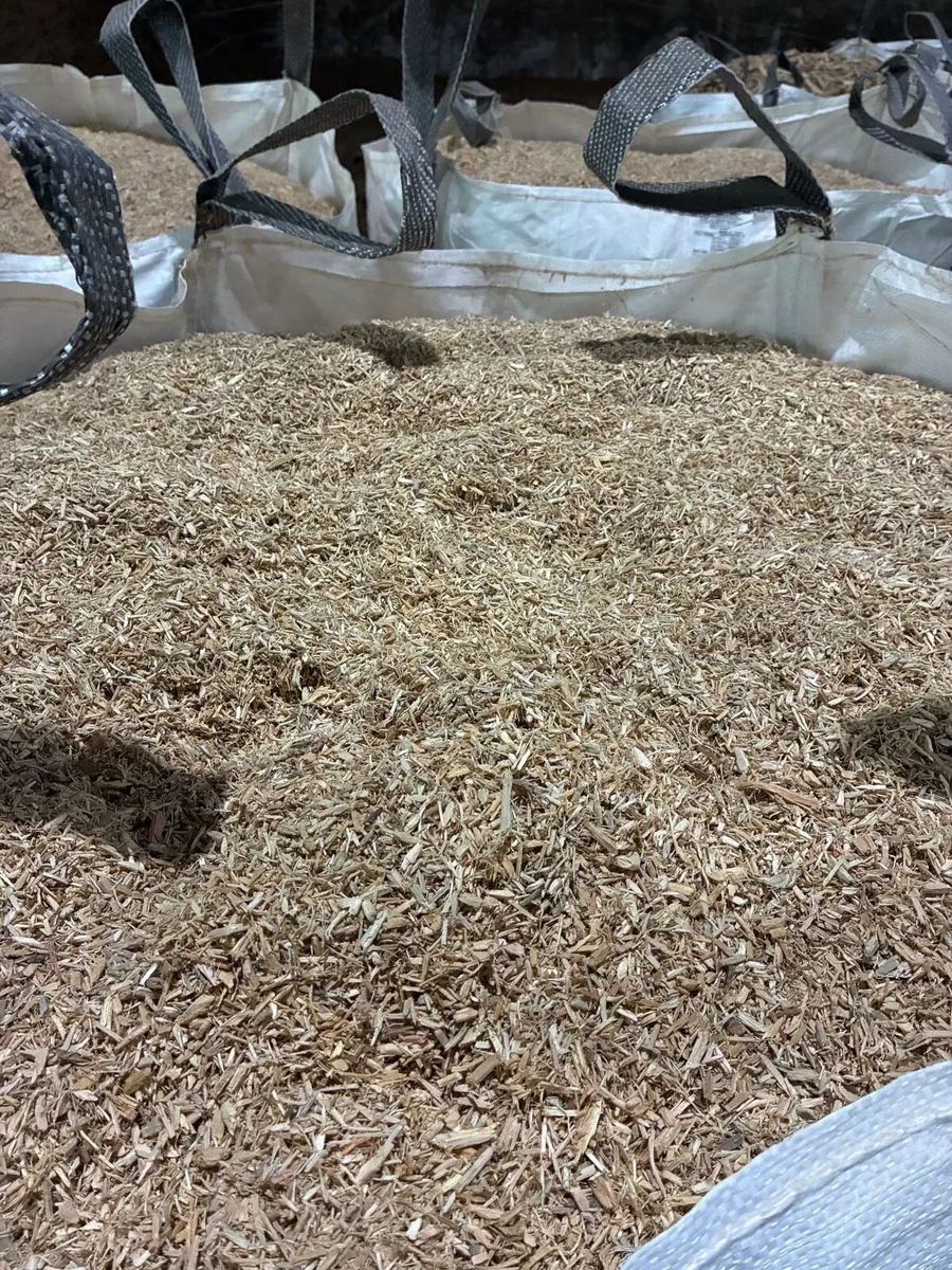 Dust free wood chip bedding. - Image 3