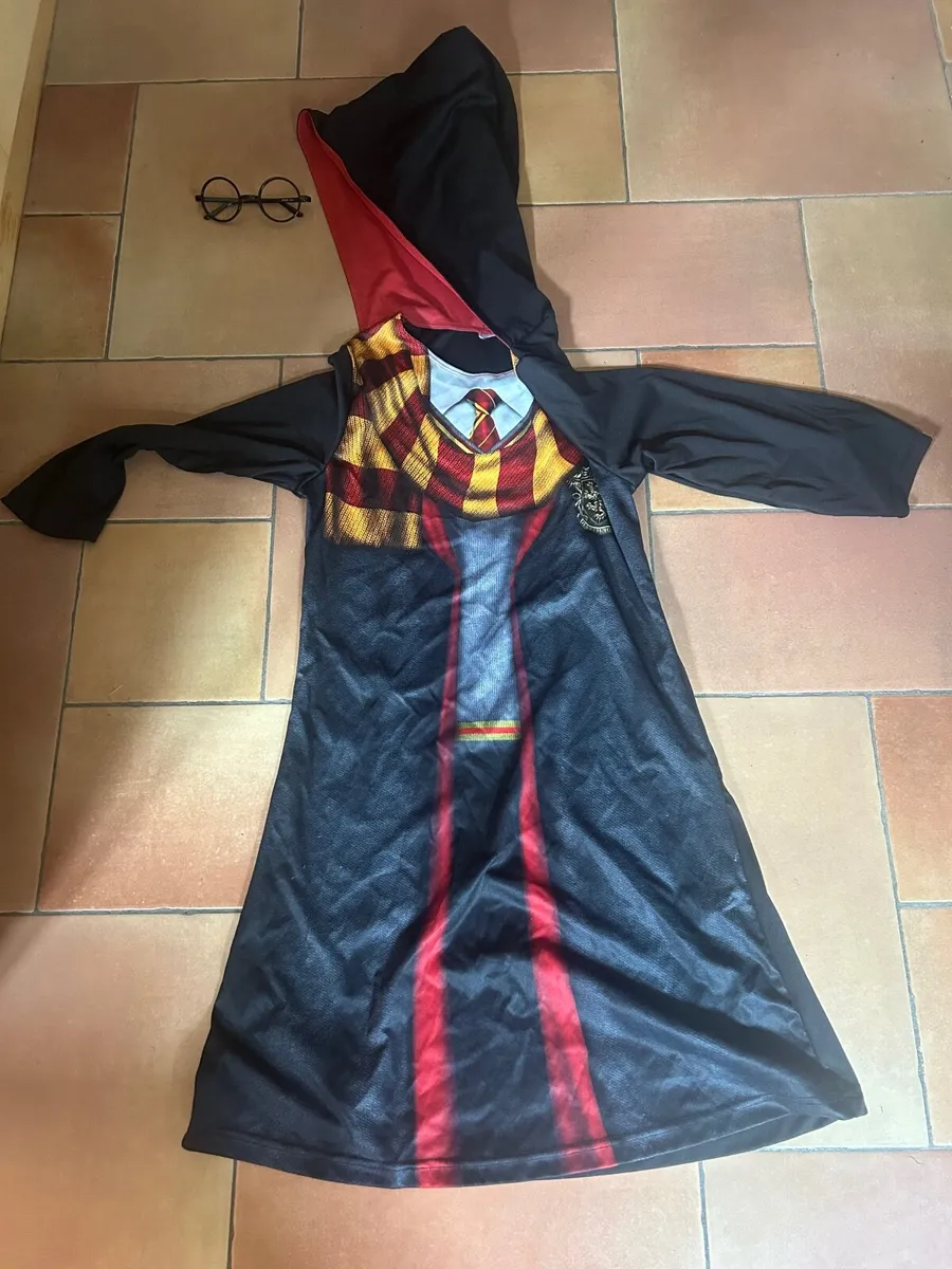 Harry Potter Halloween costume