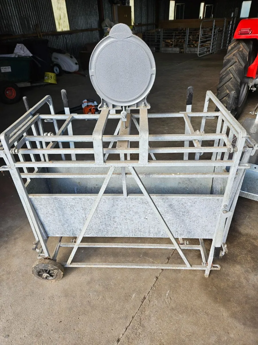 Bateman Mechanical Lamb Weigher inc Clock 800-50 - Image 2