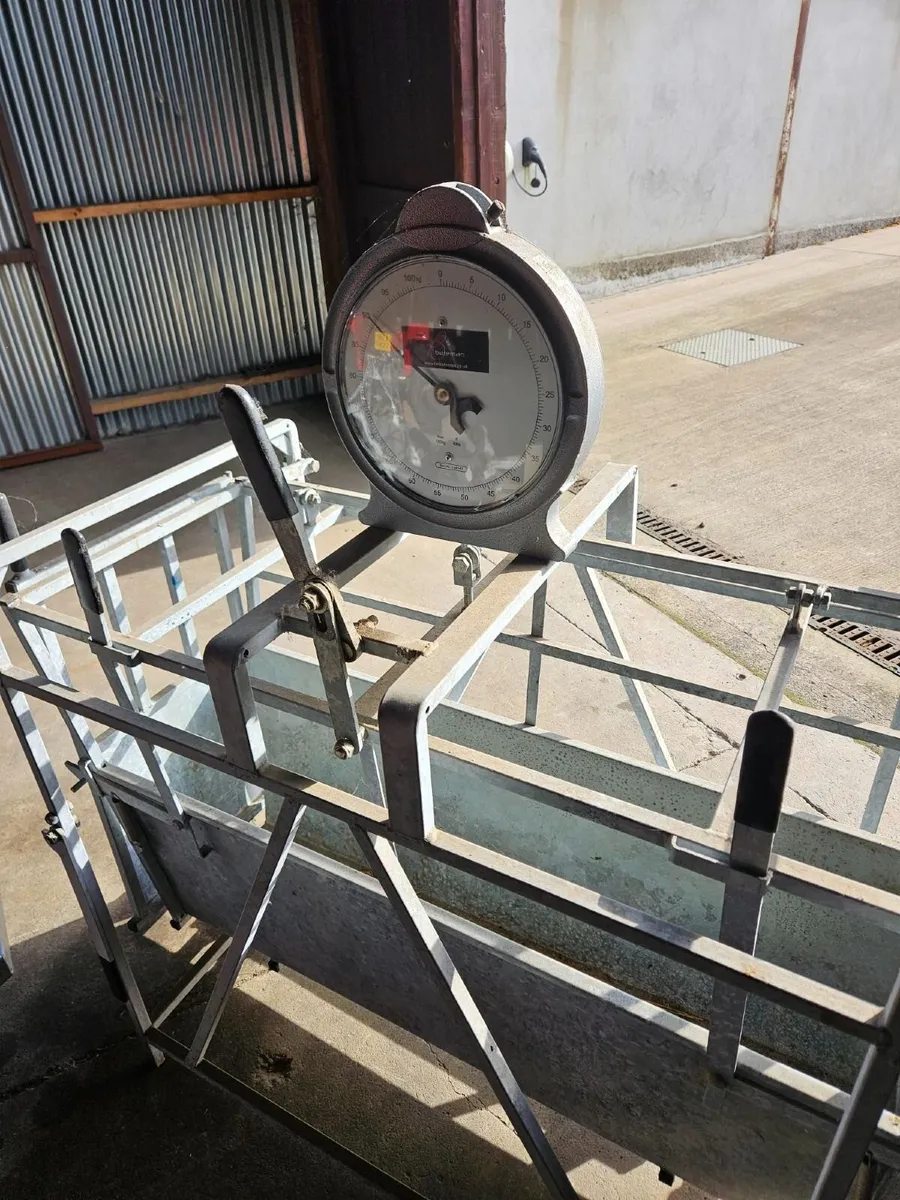 Bateman Mechanical Lamb Weigher inc Clock 800-50 - Image 1
