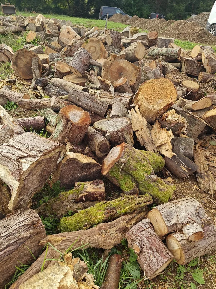 Free - Tipper load of timber - Image 2