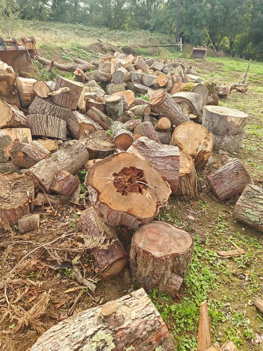 Free - Tipper load of timber - Image 1